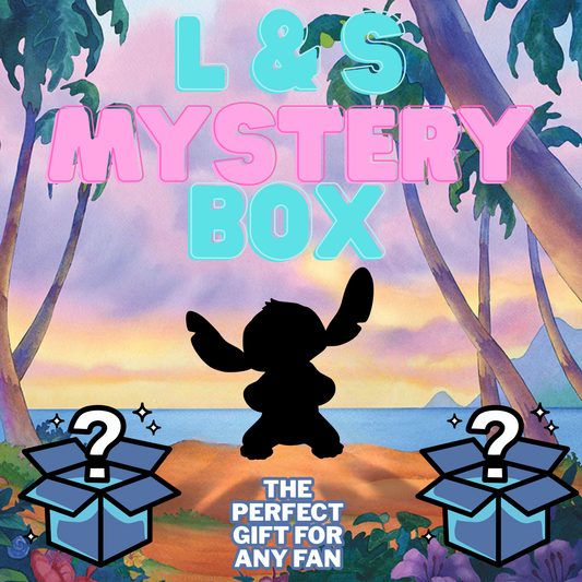L & S Mystery Box